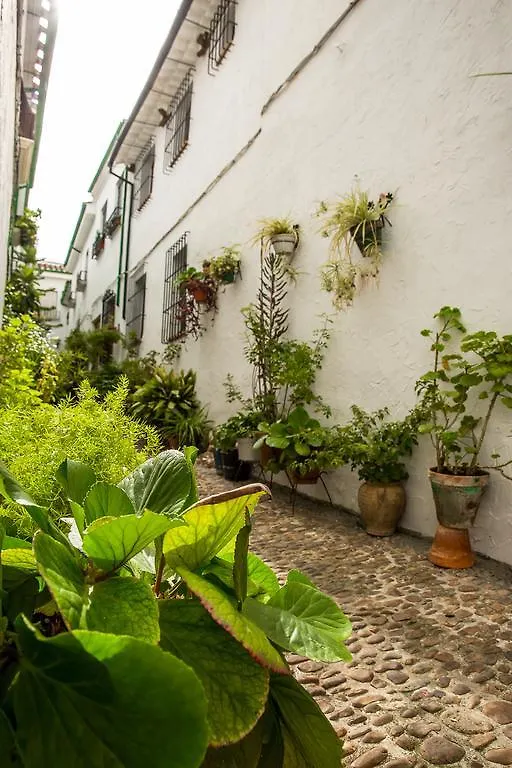 Casa Rural Zambra Priego De Cordoba